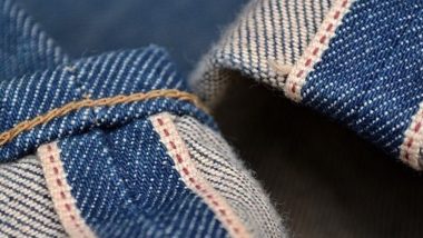 rembrandt denim