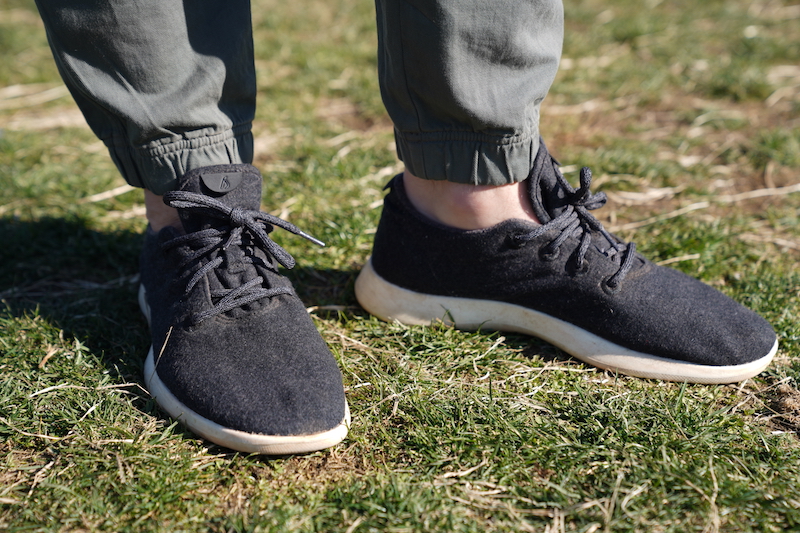 allbirds wool runner sun