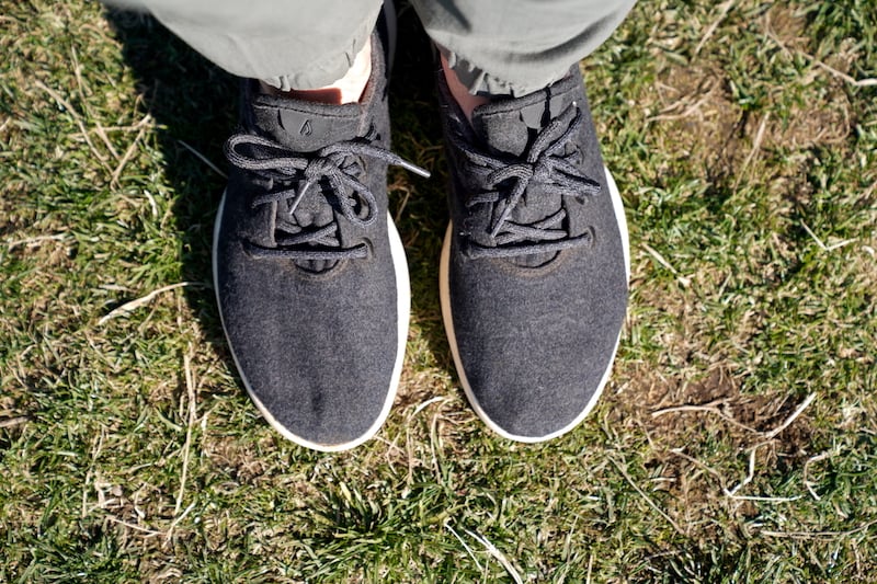allbirds wool runner top view