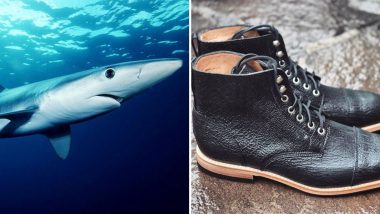 shark leather pros and cons