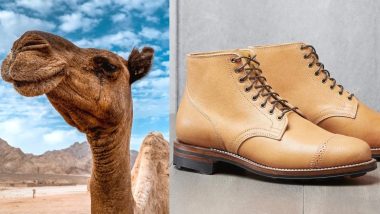 camelhide boots