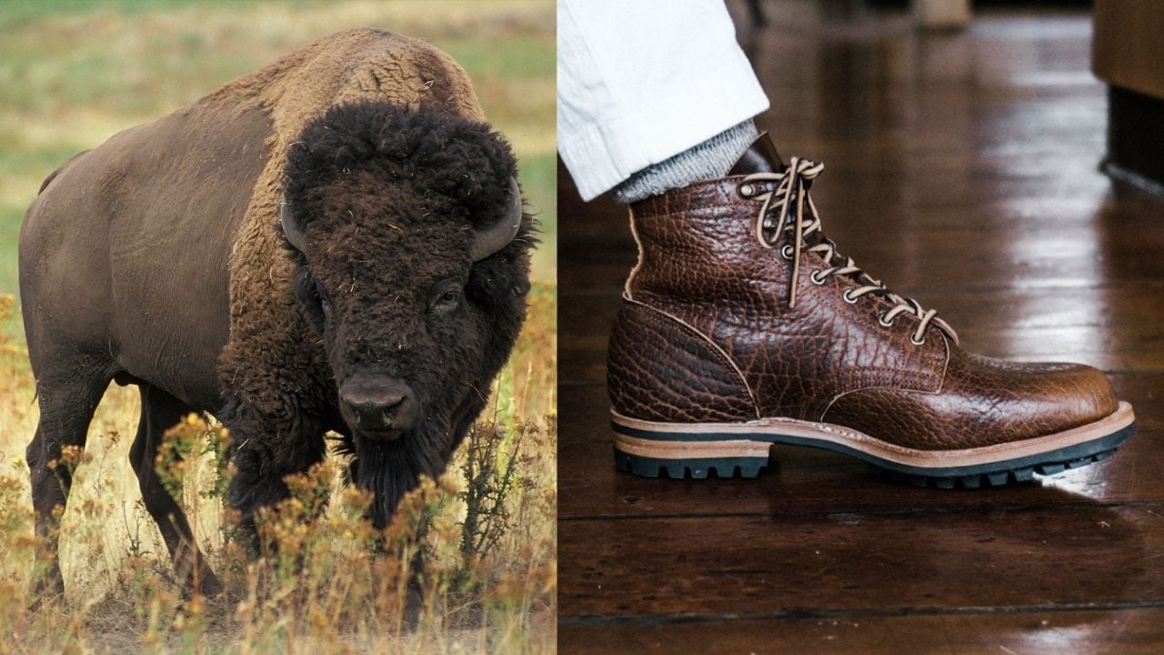 bison boots