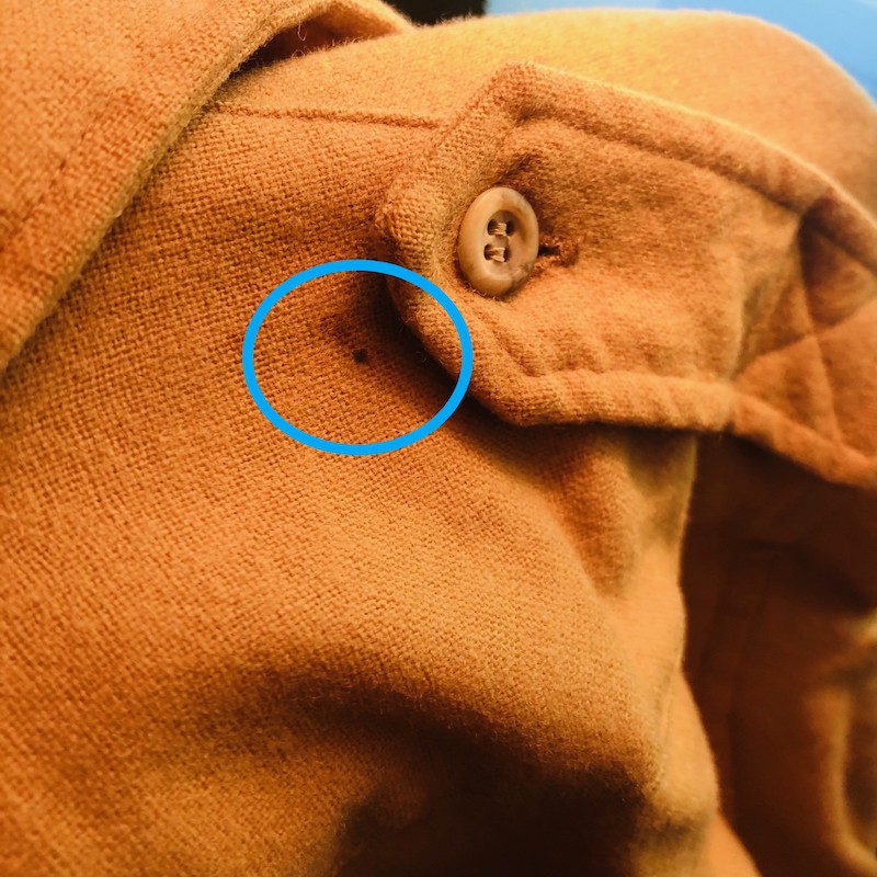 Moth Hole