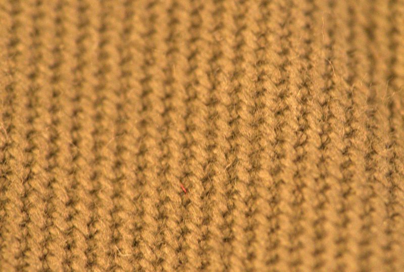 Rally Pack Animal Pack Twill Close Up