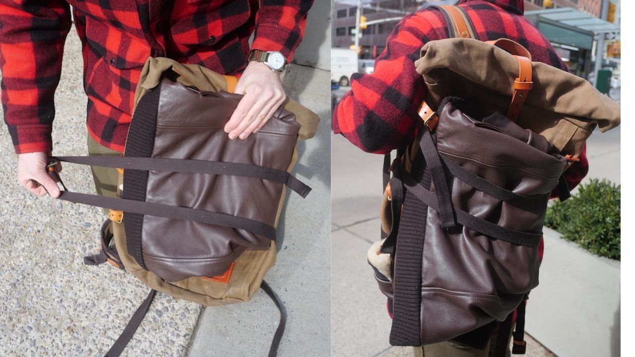 pack animal rally pack strap
