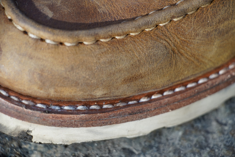 A close up shot of the Thursday diplomat welt