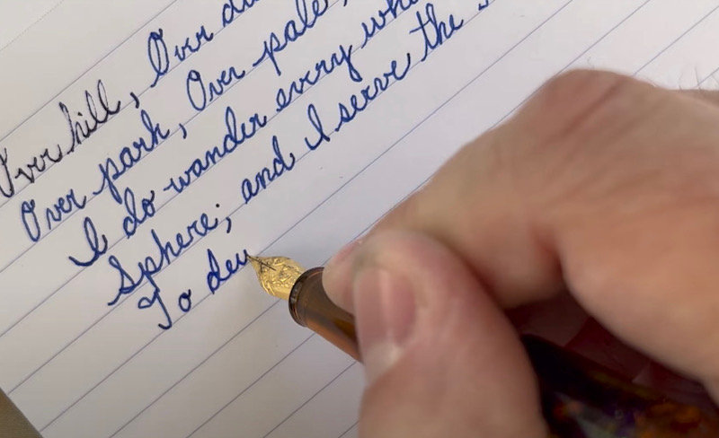 benu brown orchid pen write