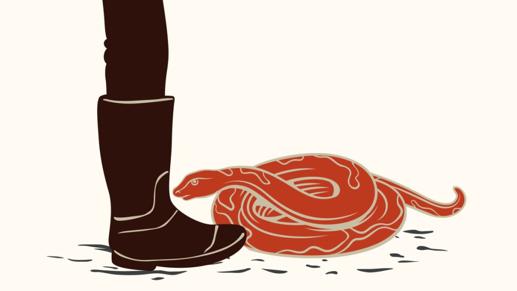 can snakes bite through boots