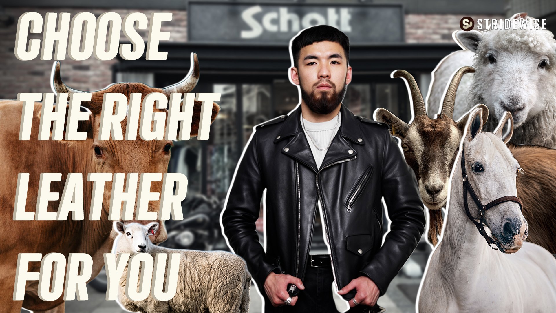 schott leather jackets lamb vs cow vs horse vs goat vs sheep vs nubuck vs suede