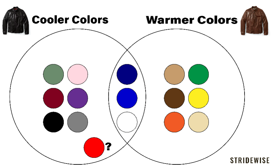 Cooler vs warmer leather jacket color palette venn diagram